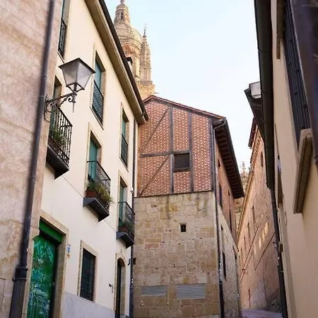 Lejlighed Tentenecio Catedral Casco Historico Salamanca