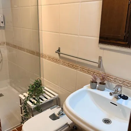 Tentenecio Catedral Casco Historico *